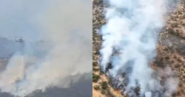 Los Fuertes Registros Del Impactante Incendio Forestal De San Carlos De