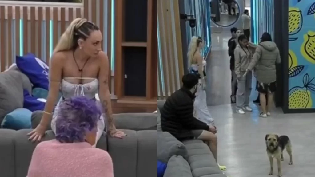 Gran Hermano Chile (27)