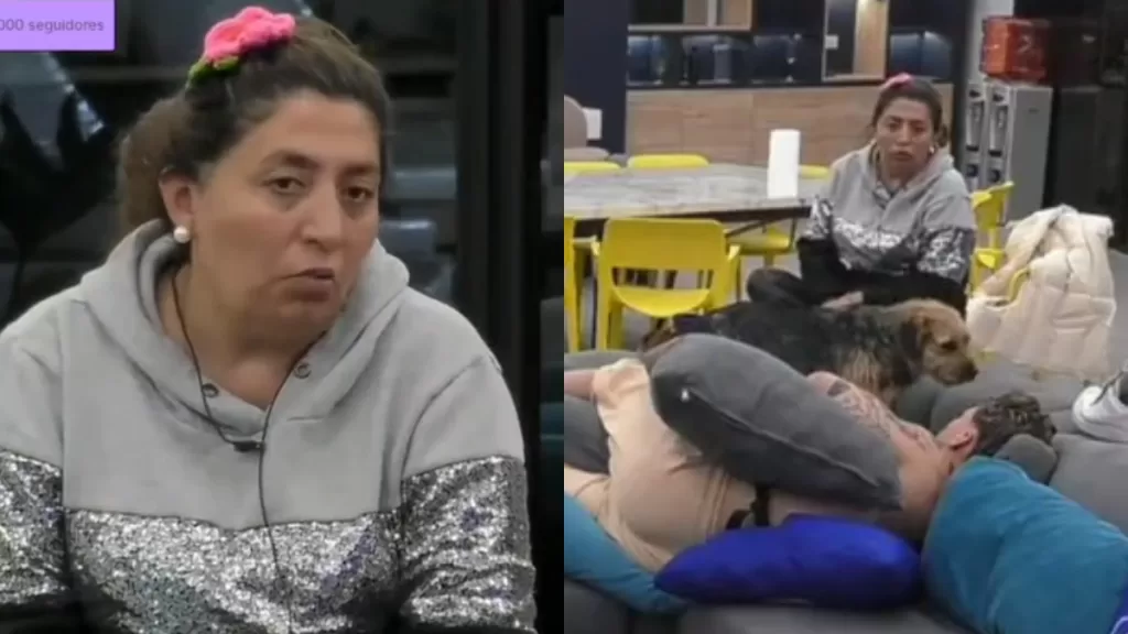 Pincoya Gran Hermano (1)