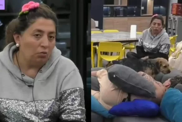 Pincoya Gran Hermano (1)