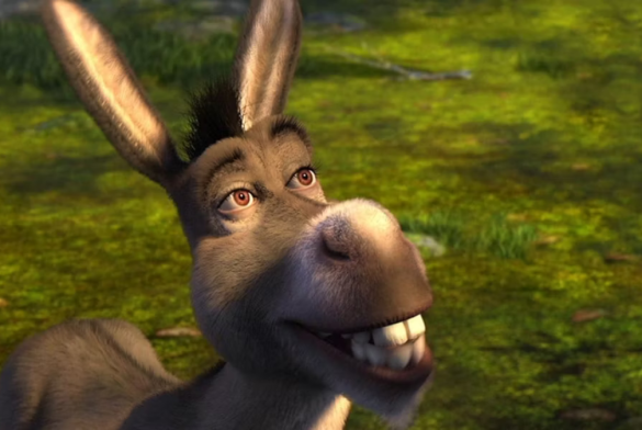 Burro Shrek