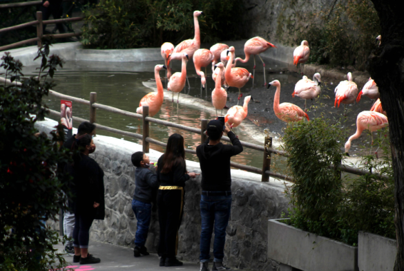 Zoologico Nacional Foto